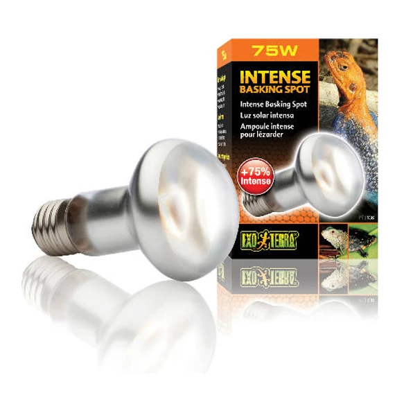 Exo-terra intense basking spot sütkérező izzó 50W