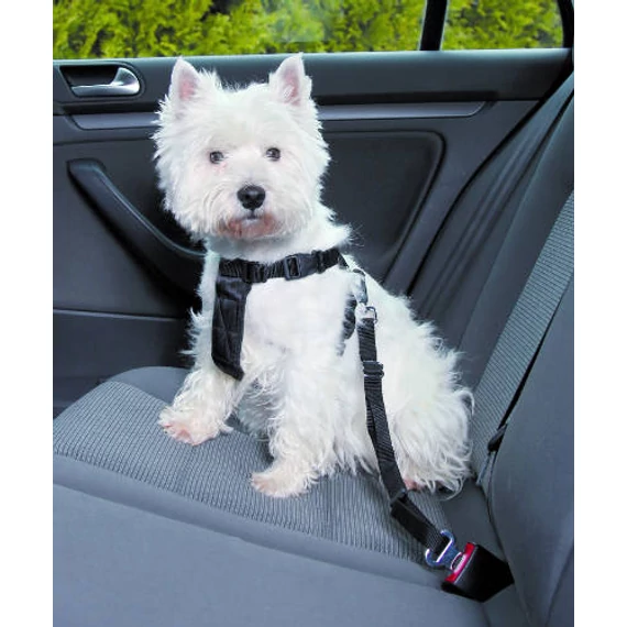 Trixie car harness
