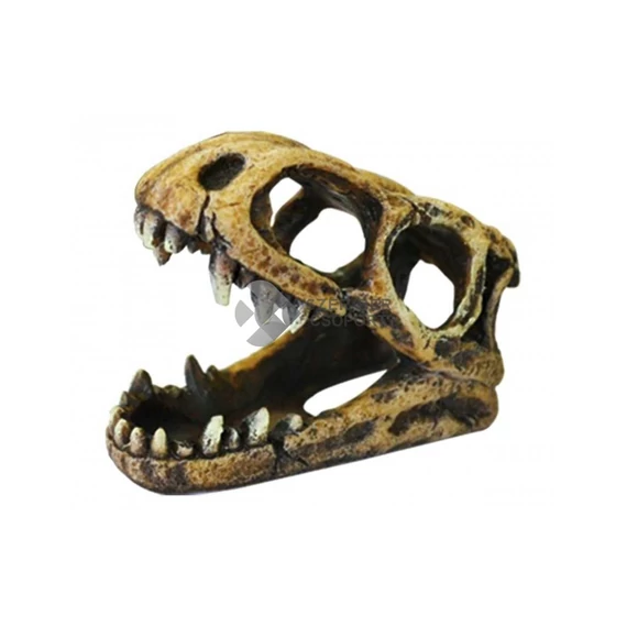 Dinoszaurusz koponya dekoráció