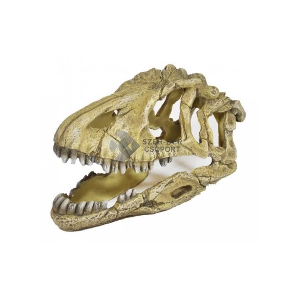 T-rex dínó koponya akváriumi vagy terráriumi dekor